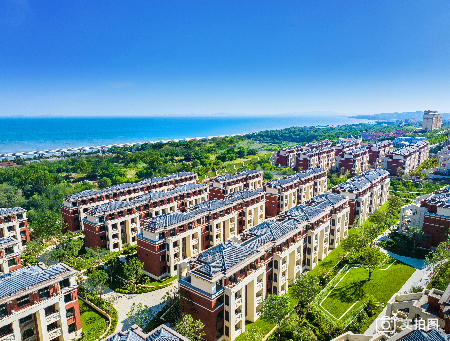 wangzhangengxin-04.jpg